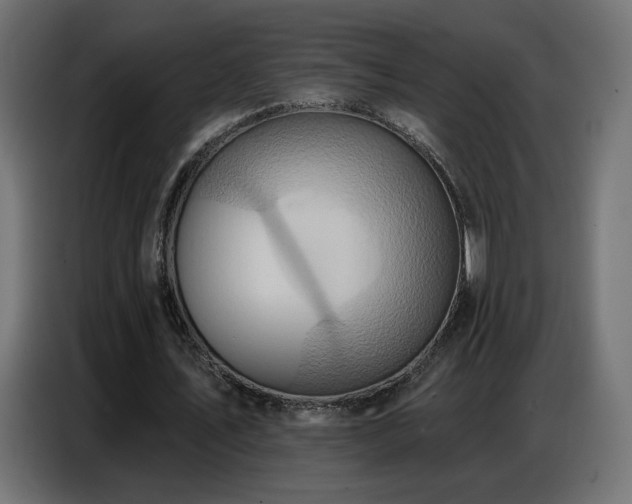 X0000086750579200704131153