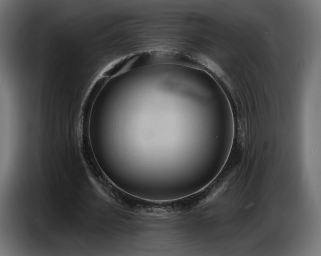 X0000086750580200704131153