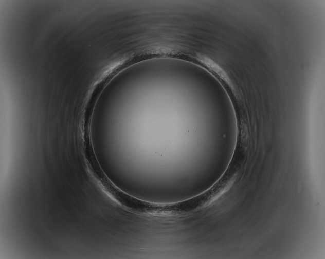 X0000086750581200704131153