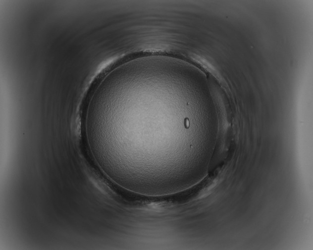 X0000086750584200704131153