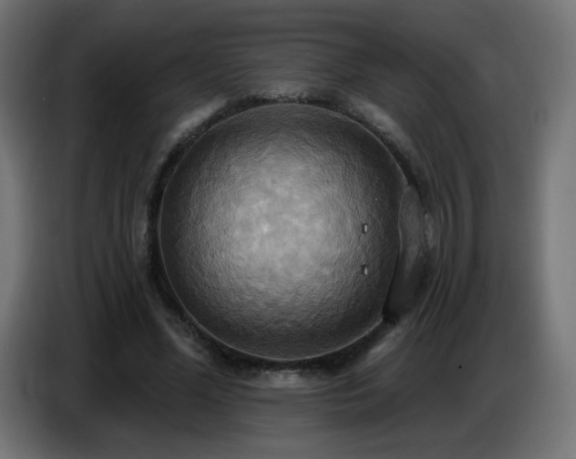 X0000086750588200704131153