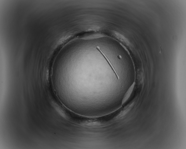 X0000086750589200704131153