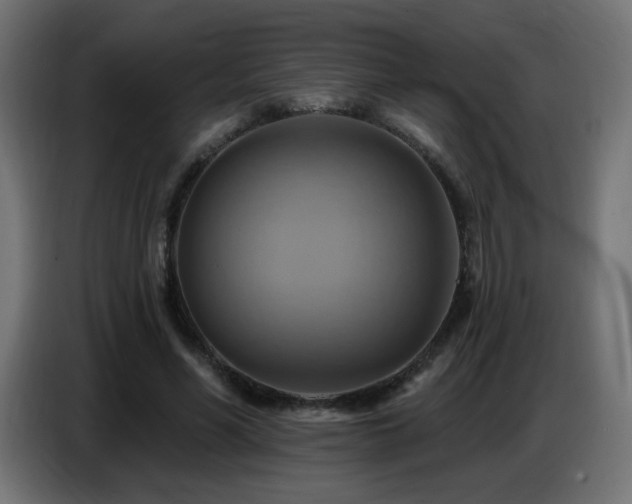 X0000086750590200704131153