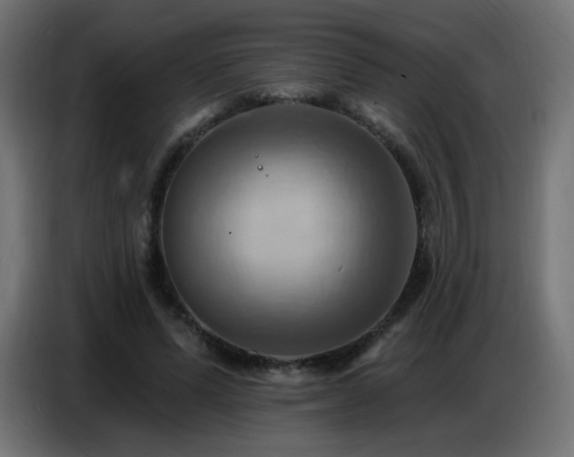 X0000086750591200704131153