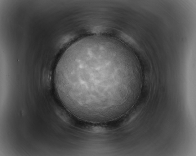 X0000086750592200704131153