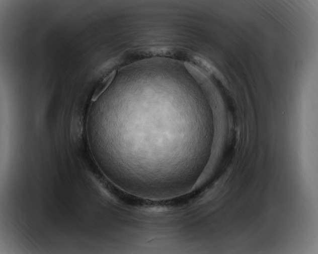 X0000086750593200704131153