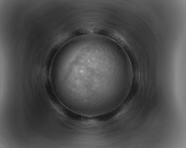 X0000086750594200704131153