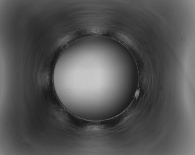 X0000086750595200704131153