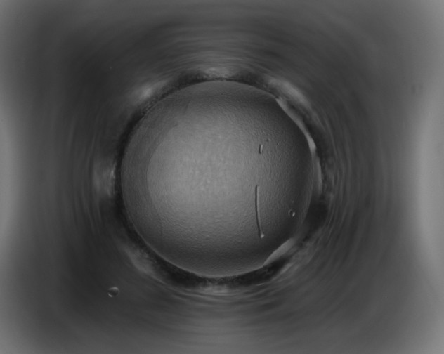 X0000086750596200704131153