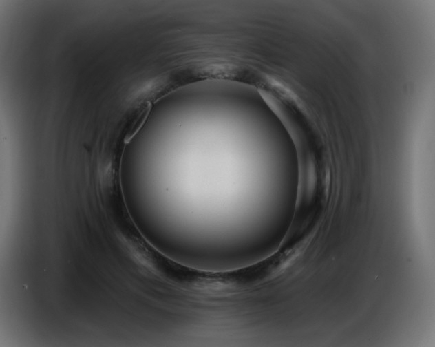 X0000086750597200704131153