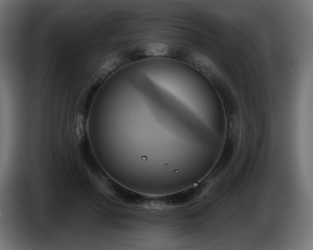 X0000086750598200704131153
