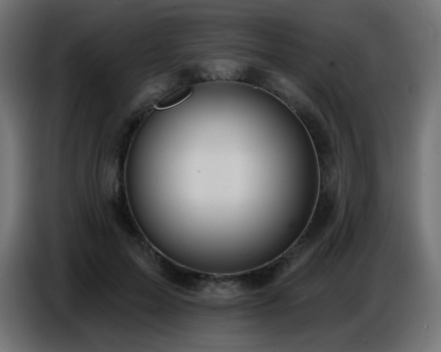 X0000086750599200704131153