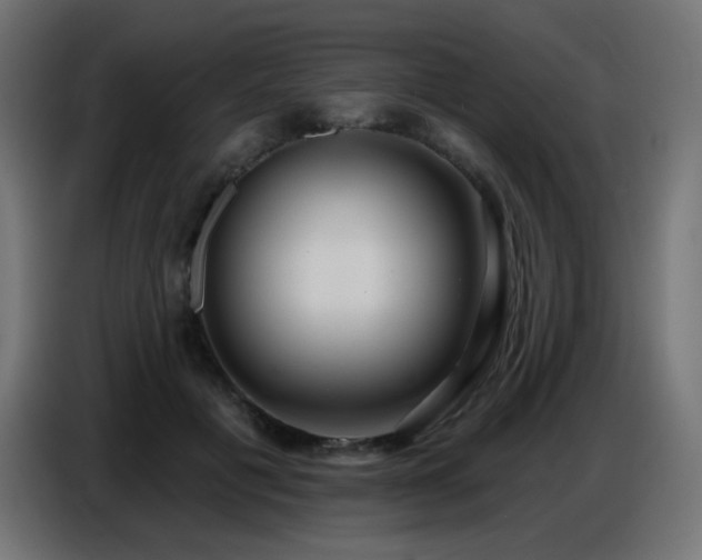 X0000086750601200704131153