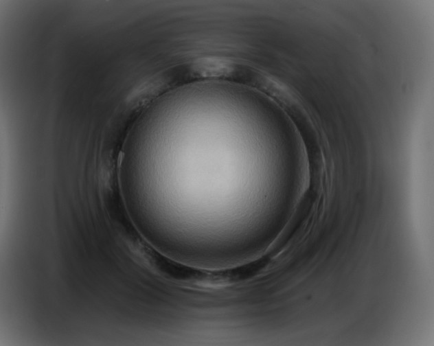 X0000086750604200704131153