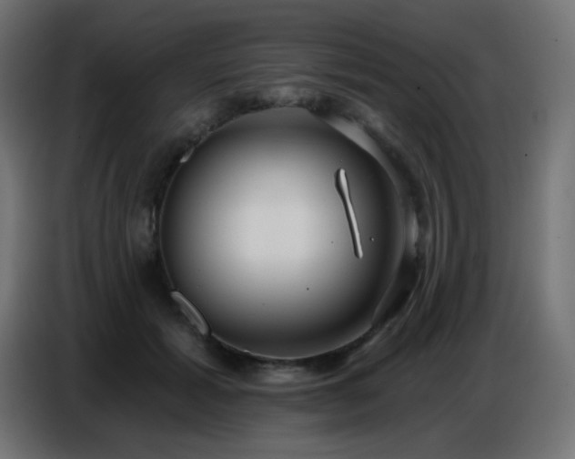 X0000086750605200704131153