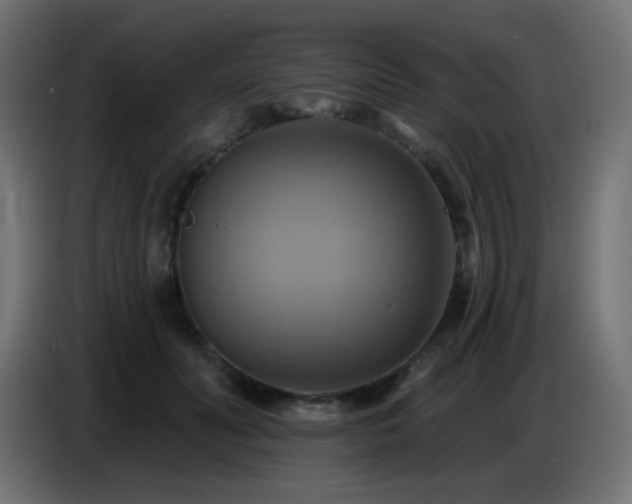 X0000086750606200704131153