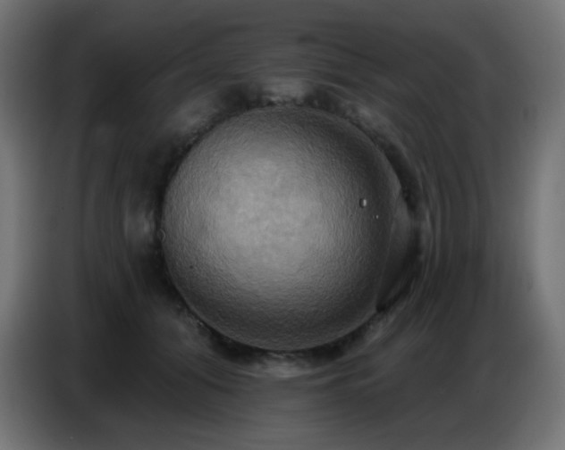 X0000086750608200704131153