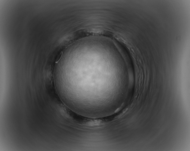 X0000086750609200704131152