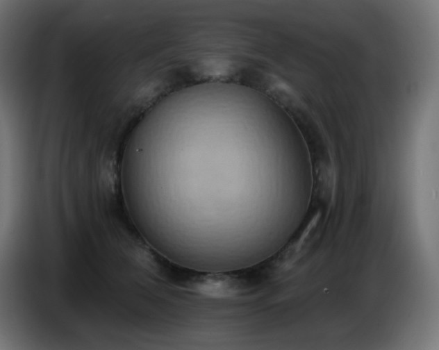 X0000086750612200704131152