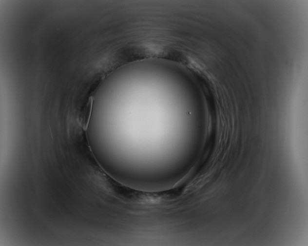 X0000086750613200704131152