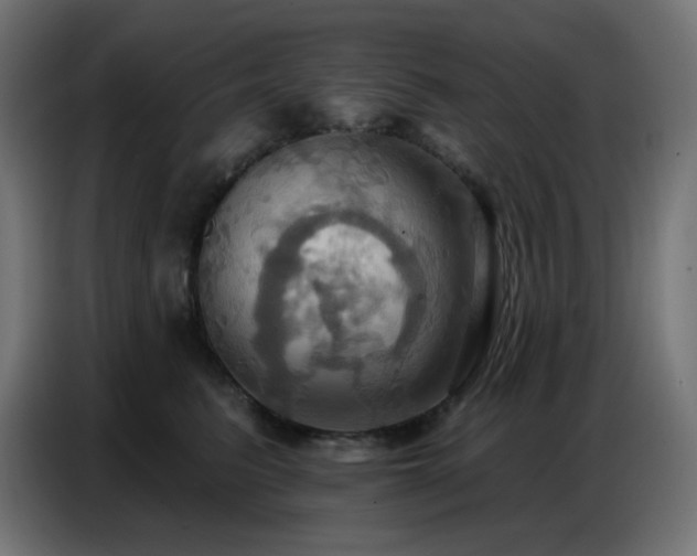 X0000086750615200704131152
