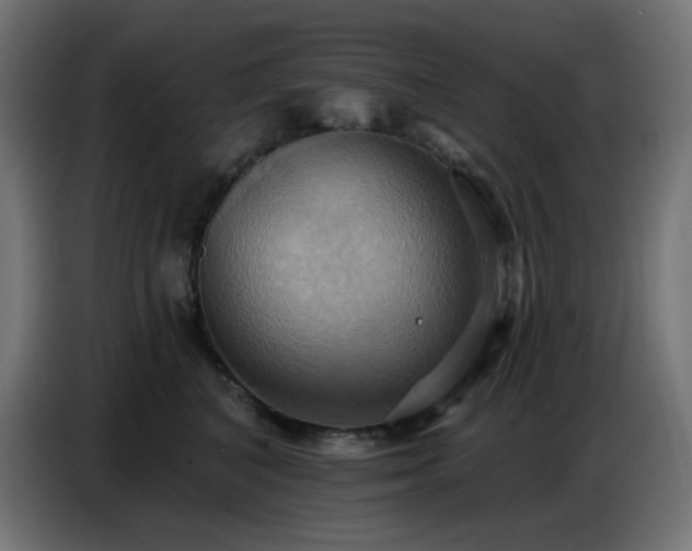 X0000086750616200704131152
