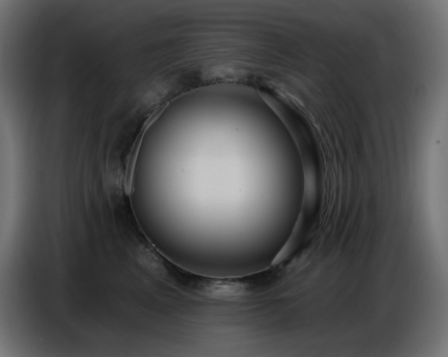 X0000086750617200704131152