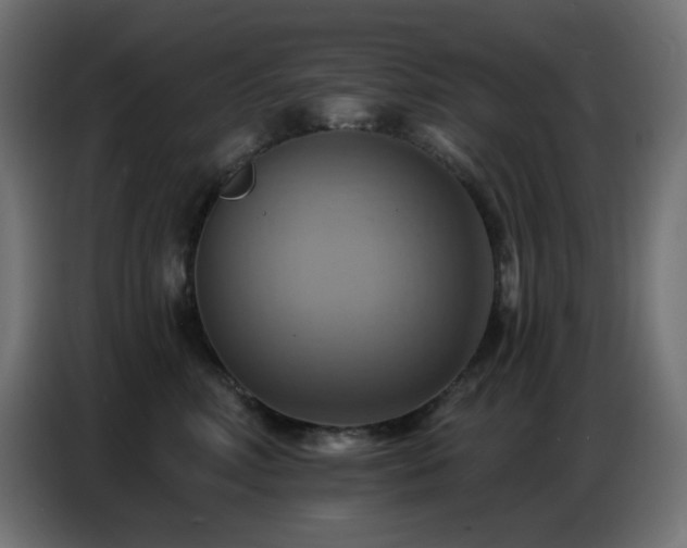 X0000086750618200704131152