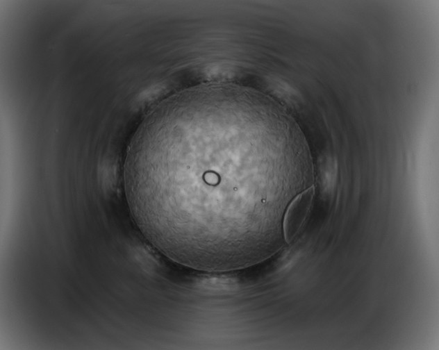 X0000086750619200704131152