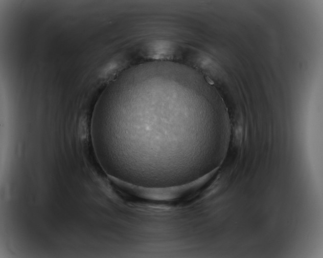 X0000086750620200704131152
