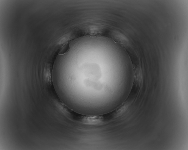 X0000086750622200704131152