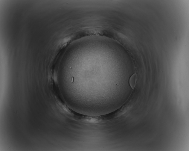 X0000086750624200704131152