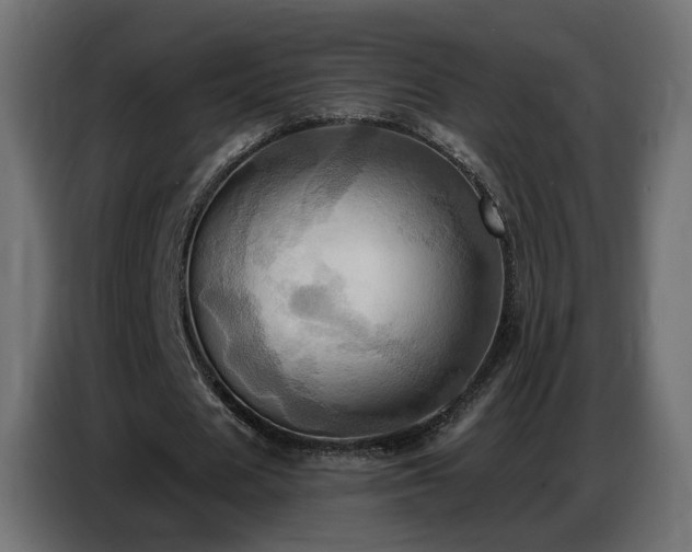X0000086750625200704131152