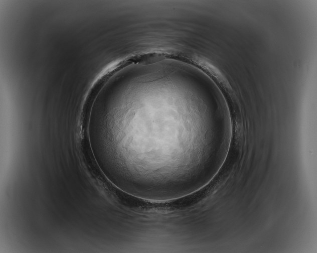 X0000086750628200704131152