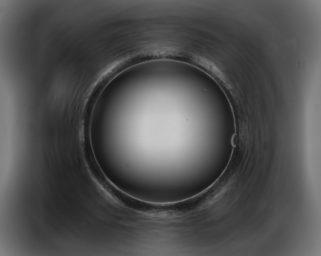 X0000086750629200704131152