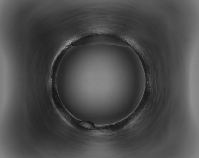 X0000086750630200704131152