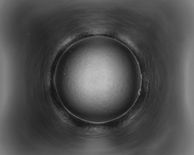 X0000086750631200704131152
