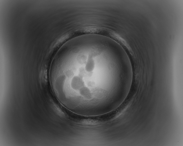 X0000086750633200704131152