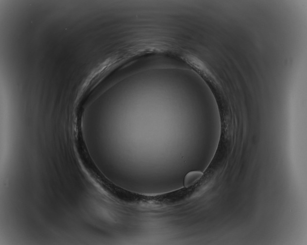 X0000086750634200704131152