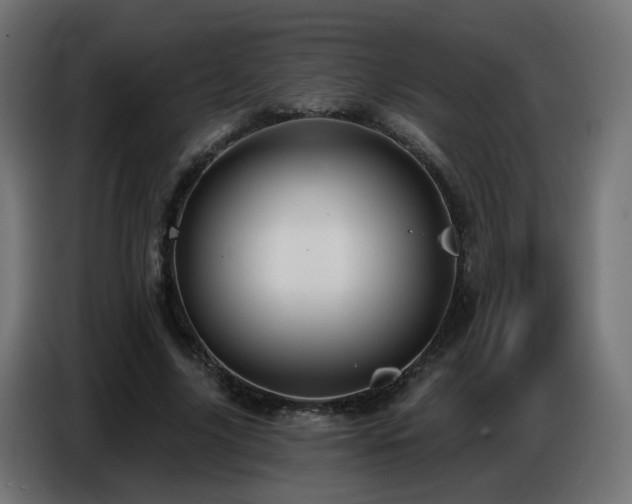 X0000086750635200704131152