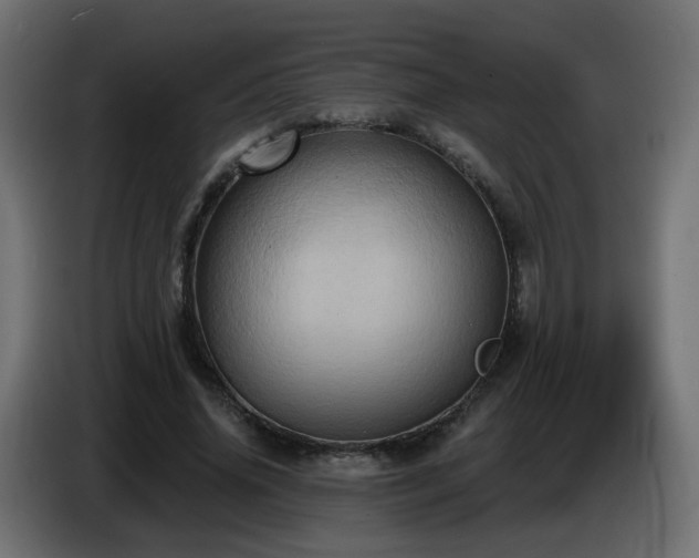 X0000086750636200704131152