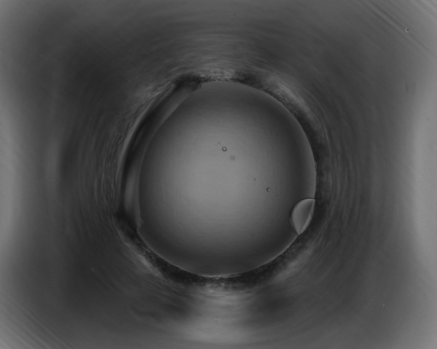 X0000086750641200704131152