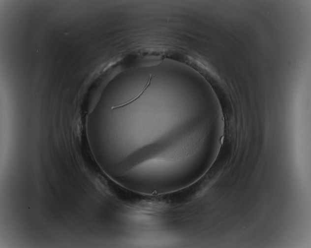 X0000086750644200704131152