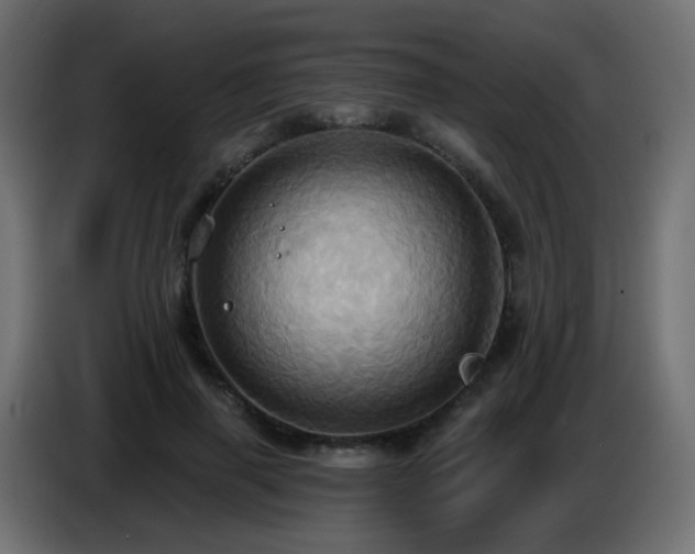 X0000086750645200704131152