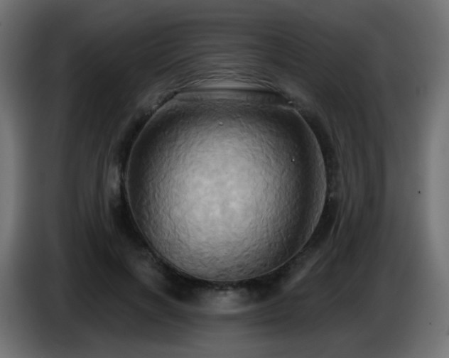 X0000086750646200704131152