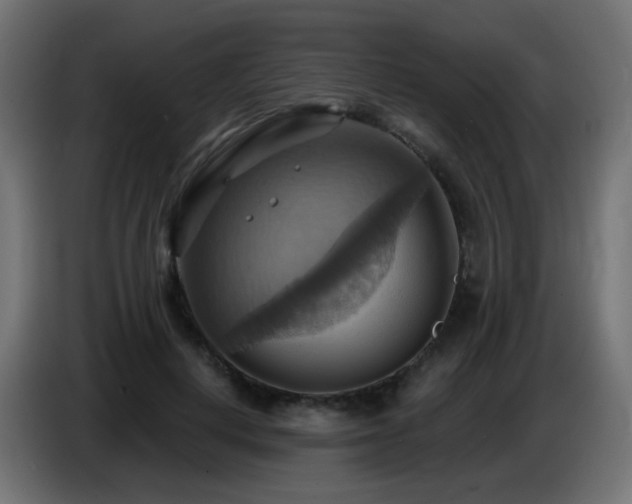 X0000086750648200704131152