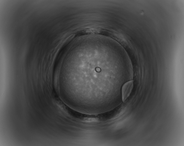 X0000086750649200704131152