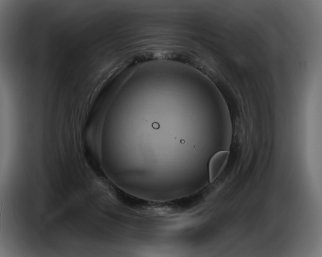 X0000086750650200704131152