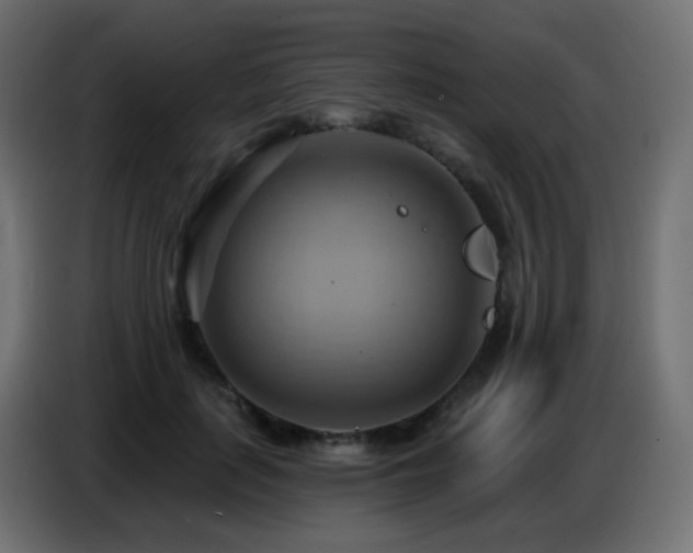 X0000086750651200704131152