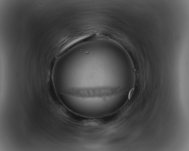 X0000086750652200704131152